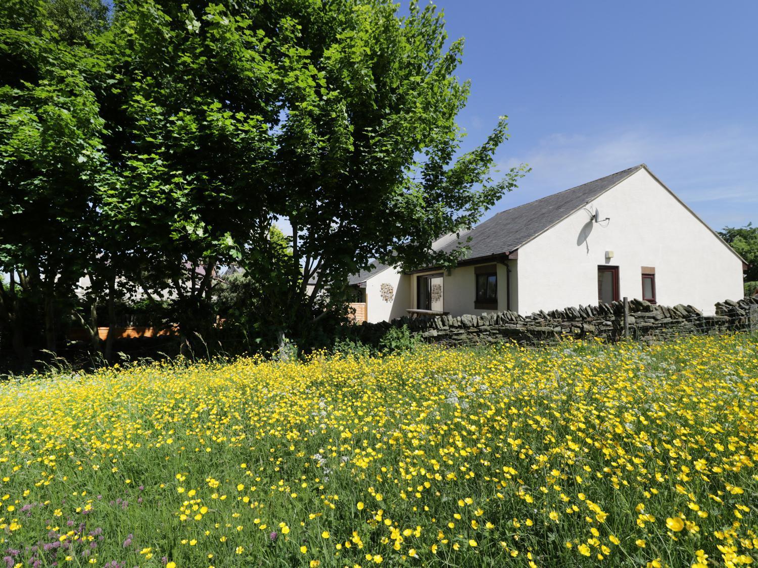 Buttercup Cottage Hexham Ngoại thất bức ảnh