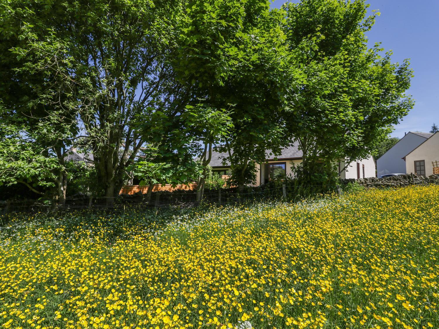 Buttercup Cottage Hexham Ngoại thất bức ảnh